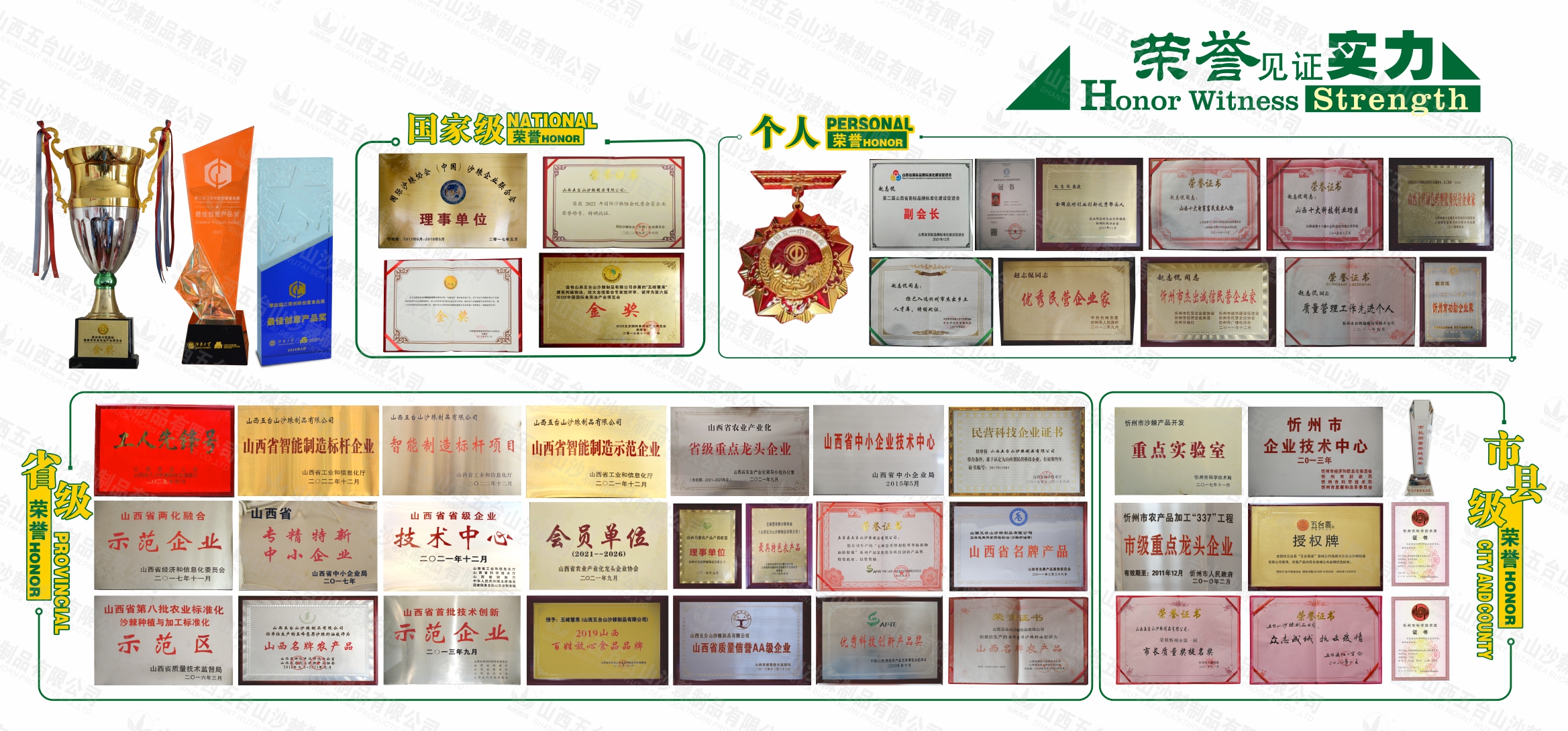 荣誉.jpg