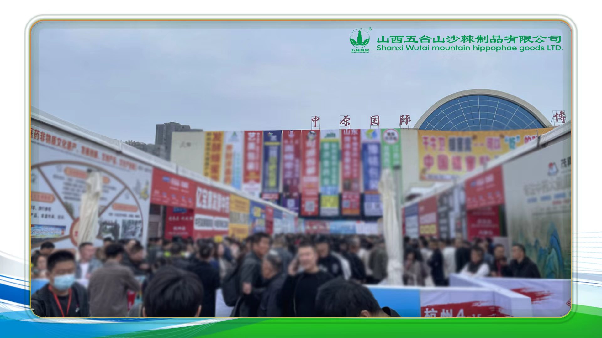 1774427286175354.jpg 微信图片_2026-03-25_081629_838.jpg