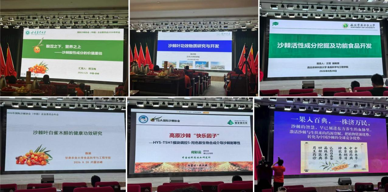 1787995493256638.png 图片3.png